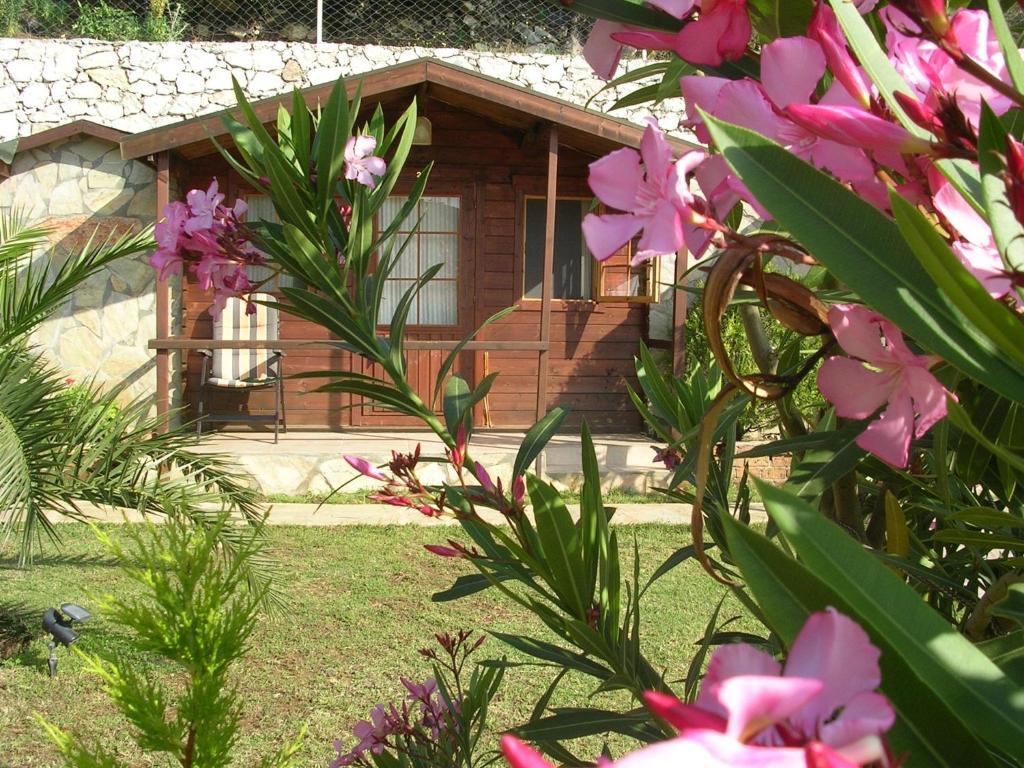 فاراليا Onur Motel المظهر الخارجي الصورة